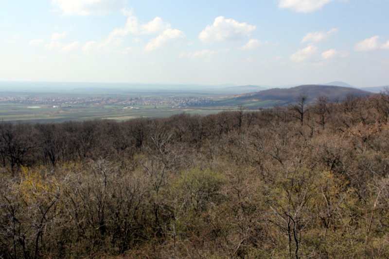 Panoráma a Kozmáry- kilátóból