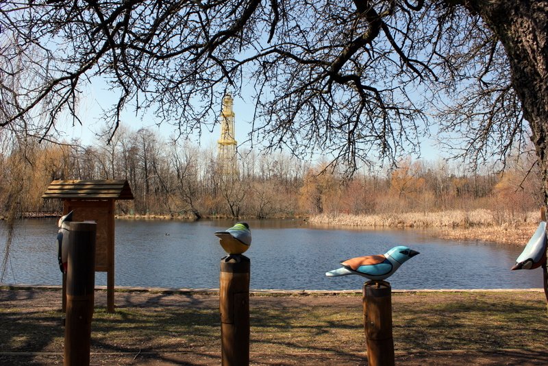 Sástói tanösvény, madarak