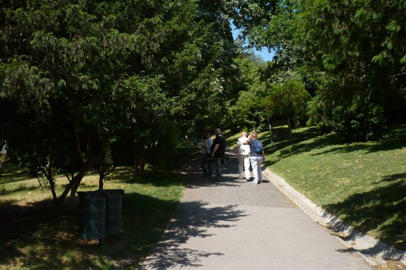 Ez az út a Budai Zöld kezdeti szakasza, itt már tényleg felfelé a hegyen