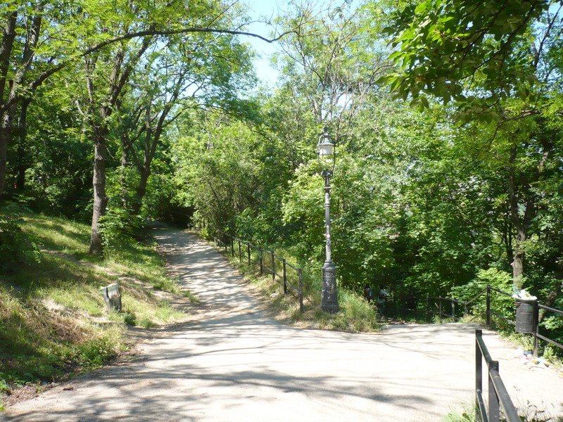 Budai Zöld Túra, elágazás