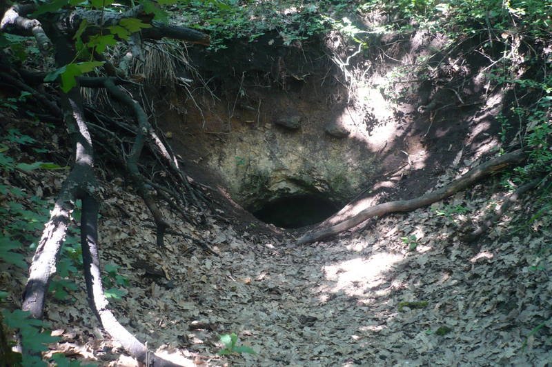 Piktortégla üreg Budaörs Frank hegy