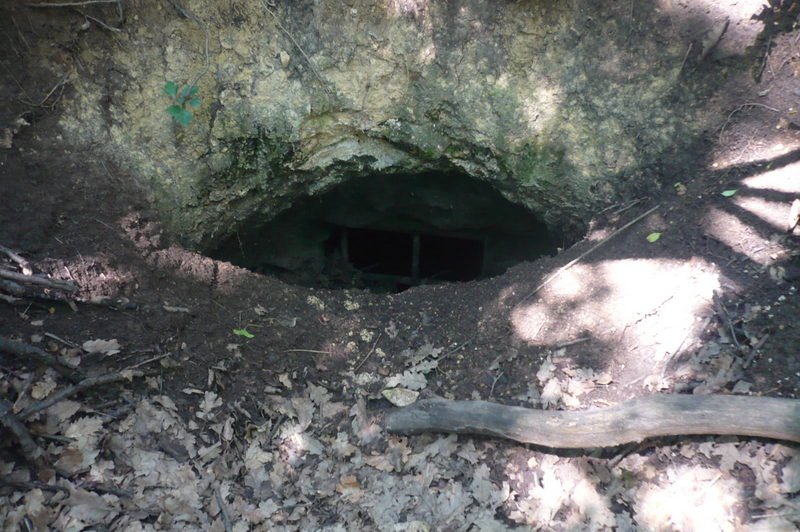 Piktortégla üreg, Budaörs. Frank hegy