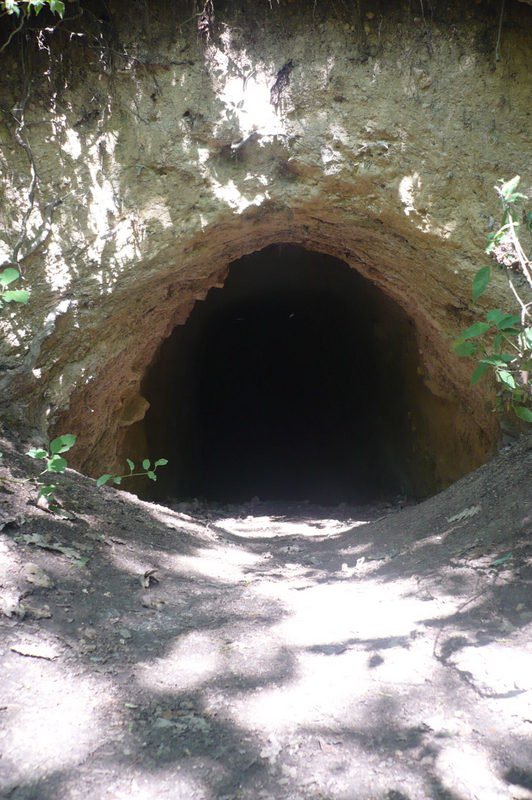 Piktortégla üreg, Budaörs, Frank hegy